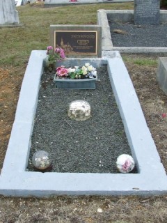 Full-size image