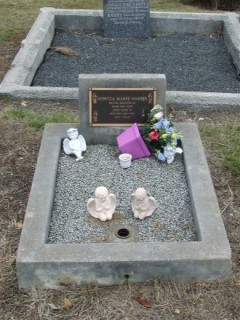 Full-size image