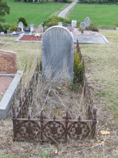 Full-size image