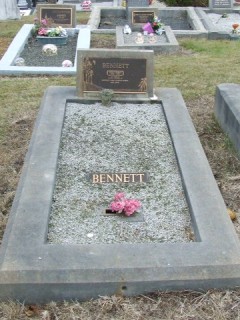 Full-size image