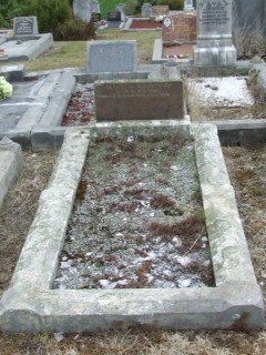 Full-size image