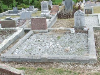 Full-size image