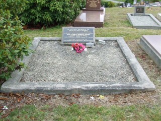 Full-size image