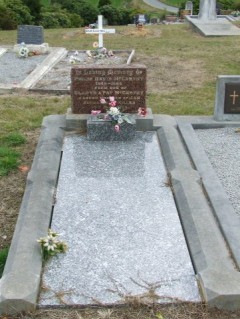 Full-size image