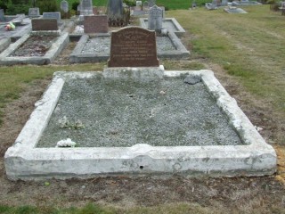 Full-size image