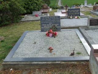 Full-size image