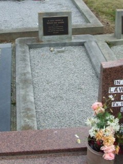 Full-size image