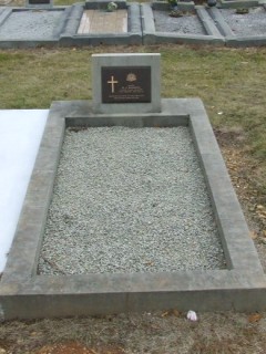 Full-size image