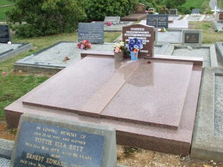 Full-size image