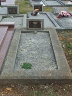 Full-size image