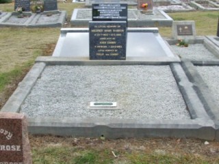 Full-size image