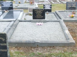 Full-size image