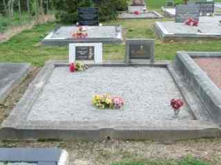 Full-size image