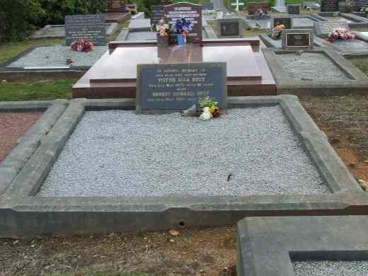 Full-size image