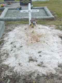 Full-size image