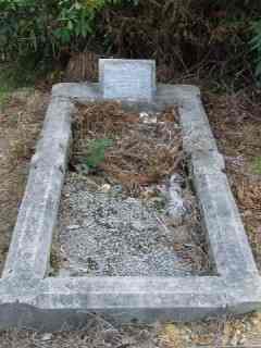 Full-size image
