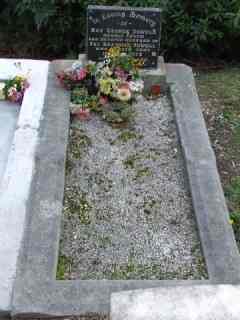 Full-size image