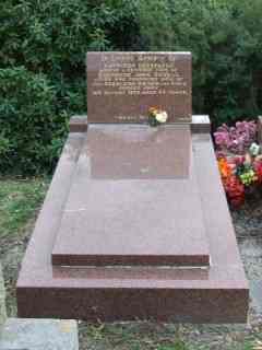 Full-size image