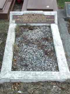 Full-size image