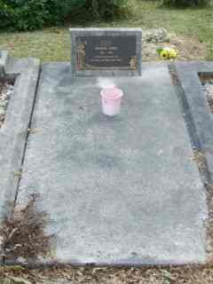 Full-size image