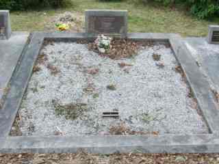 Full-size image