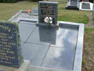 Full-size image