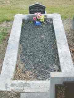 Full-size image