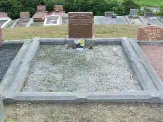 Full-size image