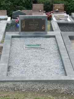Full-size image