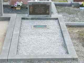 Full-size image