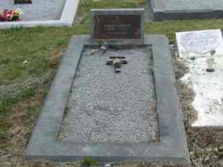 Full-size image