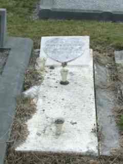 Full-size image