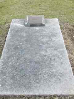 Full-size image
