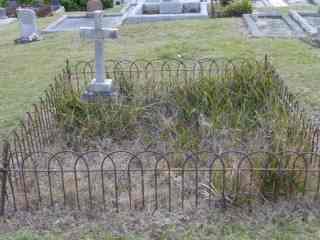 Full-size image