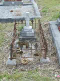 Full-size image