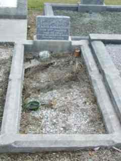 Full-size image