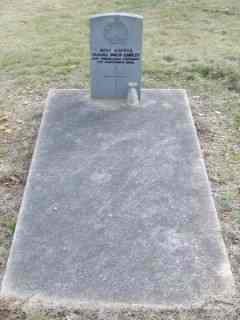 Full-size image