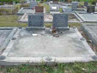 Full-size image