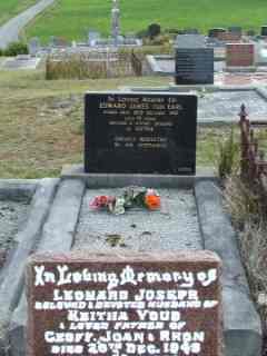 Full-size image