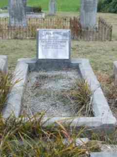 Full-size image