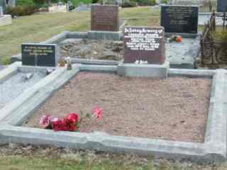 Full-size image