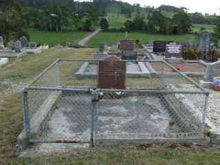 Full-size image