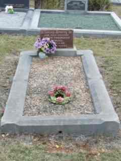 Full-size image