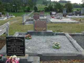 Full-size image