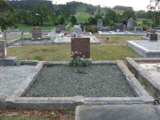 Full-size image