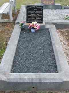 Full-size image