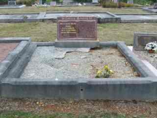 Full-size image