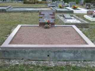 Full-size image