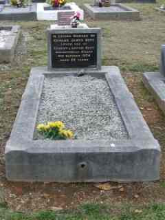 Full-size image
