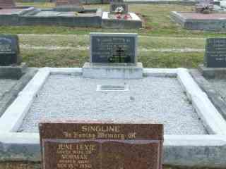 Full-size image